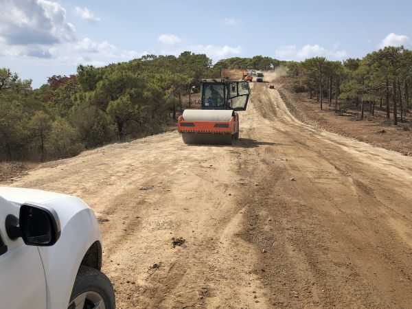 Cost of Driveway Grading in Birmingham