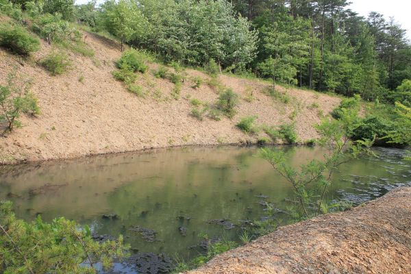 Pond Erosion Repair in Birmingham