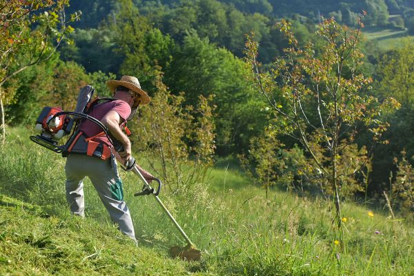 Cost of Slope Trimming in Birmingham